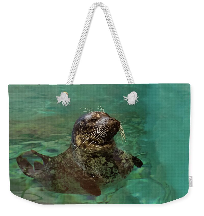 Terry D Photography Weekender Tote Bag featuring the photograph Aquarium Seal by Terry DeLuco