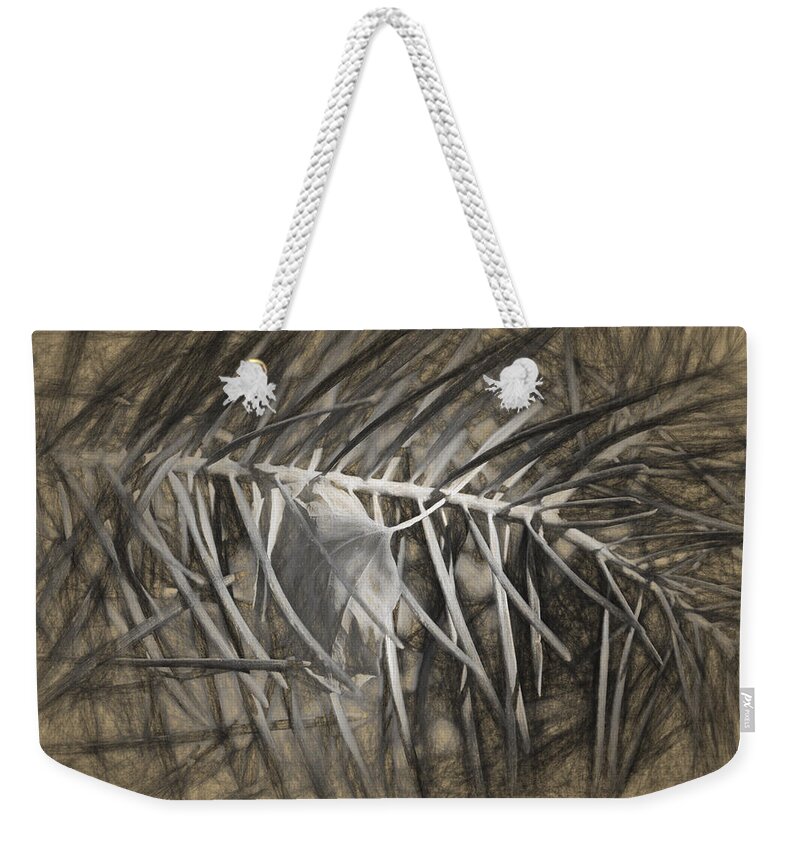 Desert Forest And Garden Weekender Tote Bag featuring the digital art Arborescence by Becky Titus