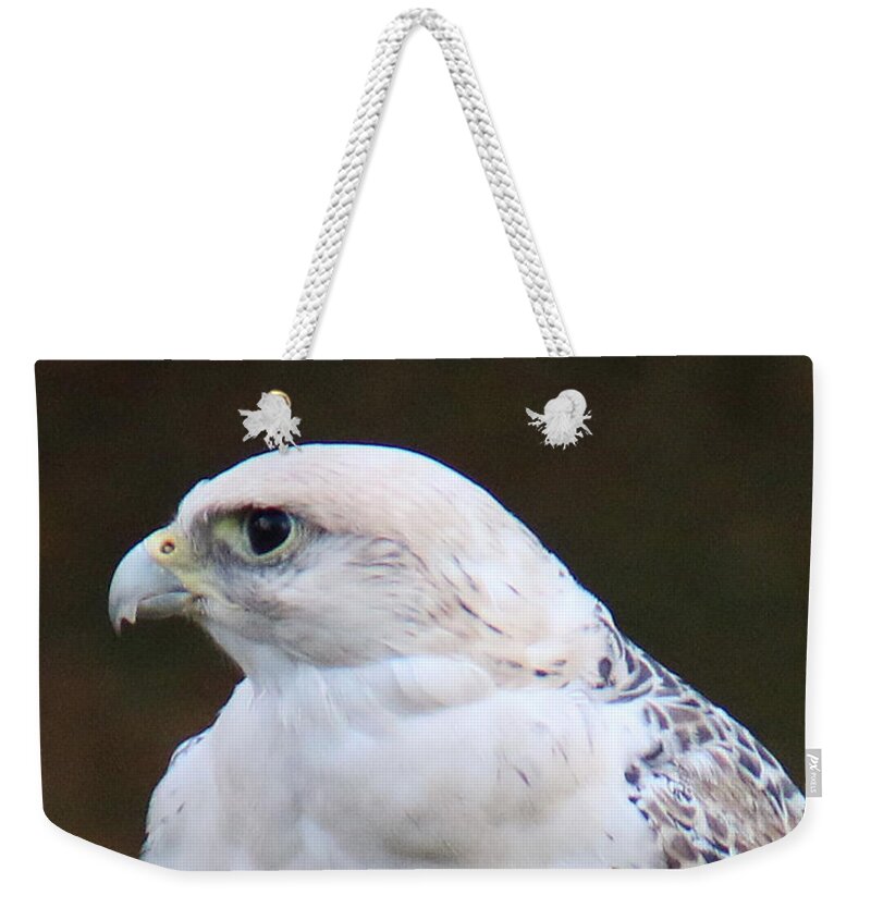 Wildlife Weekender Tote Bag featuring the photograph Arctic Falcon in Profile by William Selander