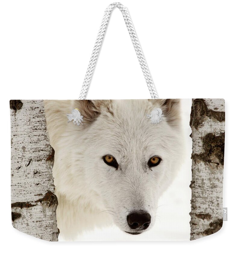 Arctic Wolf Weekender Tote Bag featuring the digital art Arctic Wolf seen between two trees in winter by Mark Duffy