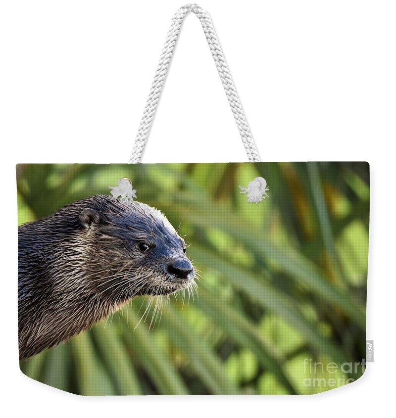 River Otter Weekender Tote Bag featuring the photograph Are You Looking At Me? by Julie Adair