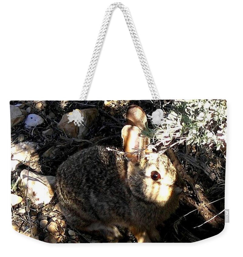Arizona Weekender Tote Bag featuring the photograph Arizona 13 by Will Borden