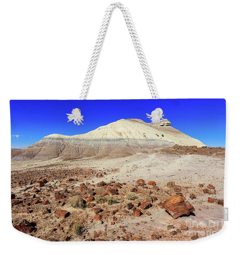 Arizona Weekender Tote Bag featuring the photograph Arizona Petrified Forest by Raul Rodriguez