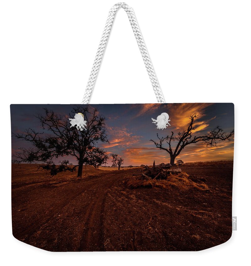 Dramatic Weekender Tote Bag featuring the photograph Arrival by Tim Bryan