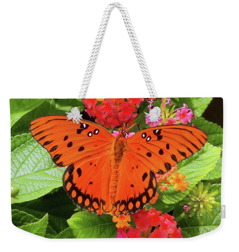 Butterfly Art Weekender Tote Bag featuring the photograph Art by God by Scott Cameron