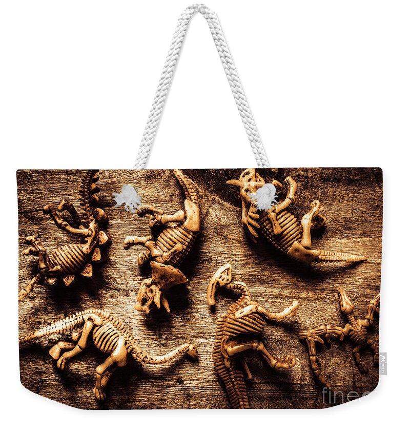 Display Weekender Tote Bag featuring the photograph Art in palaeontology by Jorgo Photography