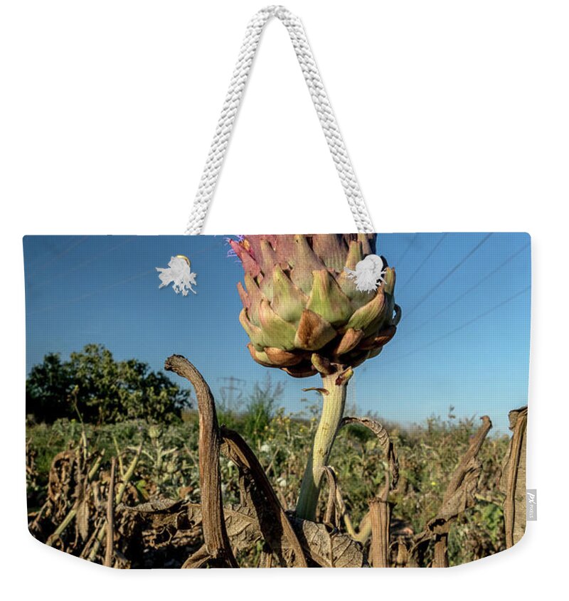 Food Weekender Tote Bag featuring the photograph Artichoke, 02 by Arik Baltinester
