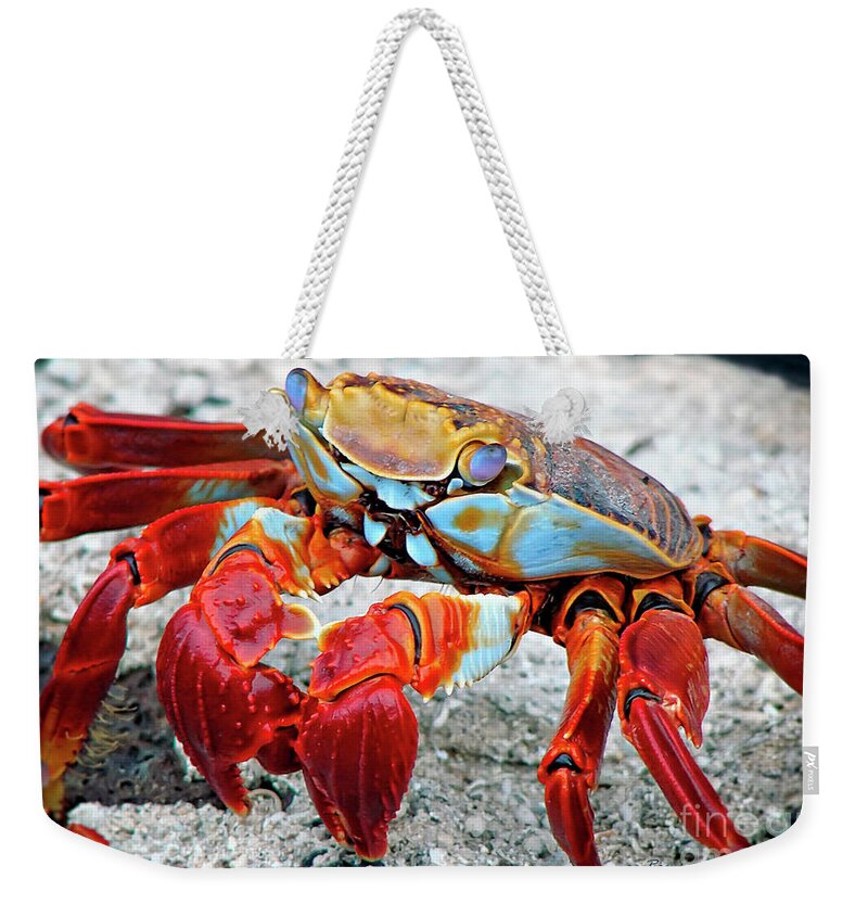 Nature Weekender Tote Bag featuring the photograph Artistic Nature Red and Blue Rainbow Crab 908 by Ricardos Creations