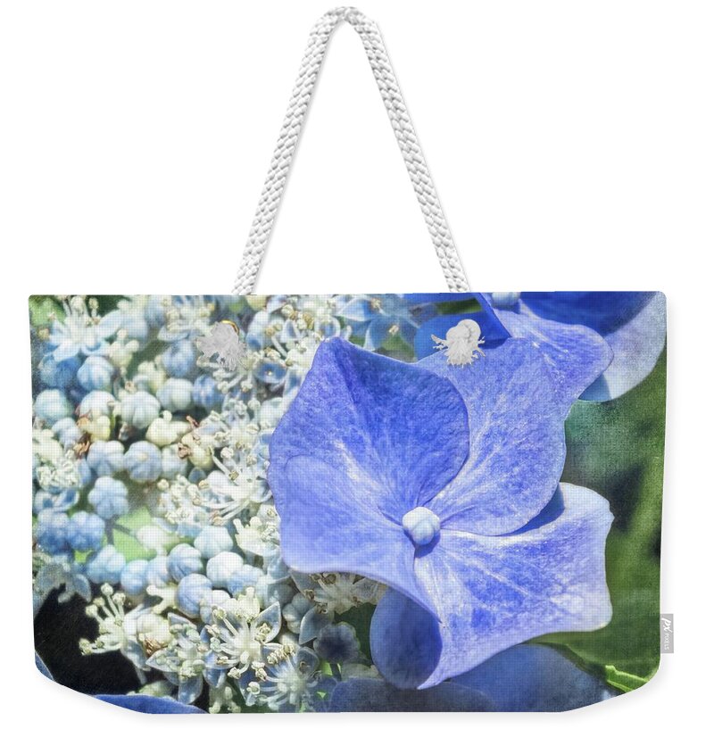 Blue Lacecap Hydrangea Weekender Tote Bag featuring the photograph Blue Lacecap Hydrangea by Melissa Bittinger