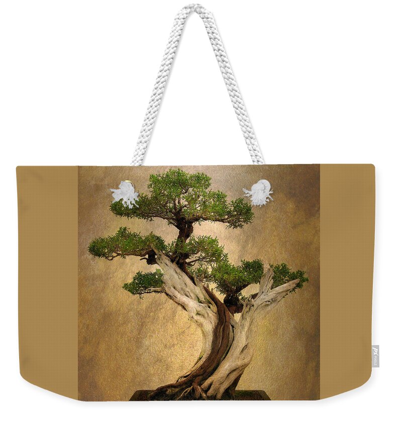 Bonsai Weekender Tote Bag featuring the photograph Asian Bonsai by Jessica Jenney