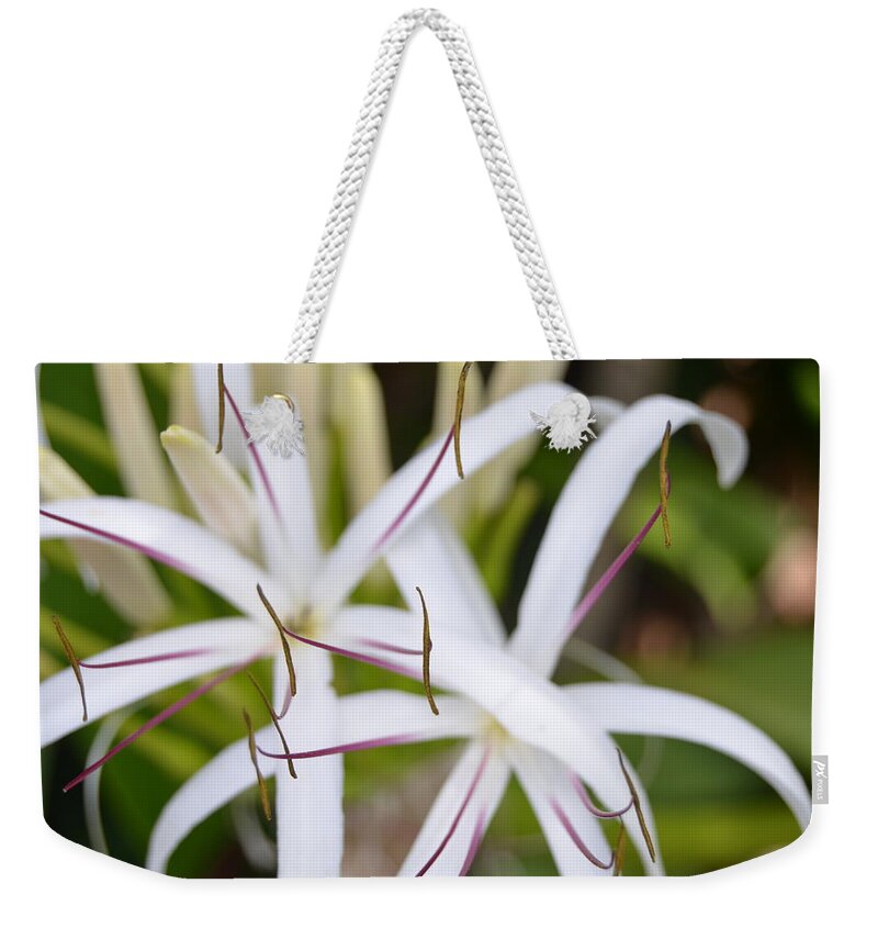 Kauai Weekender Tote Bag featuring the photograph Asiatic Poison Lily 2 by Amy Fose
