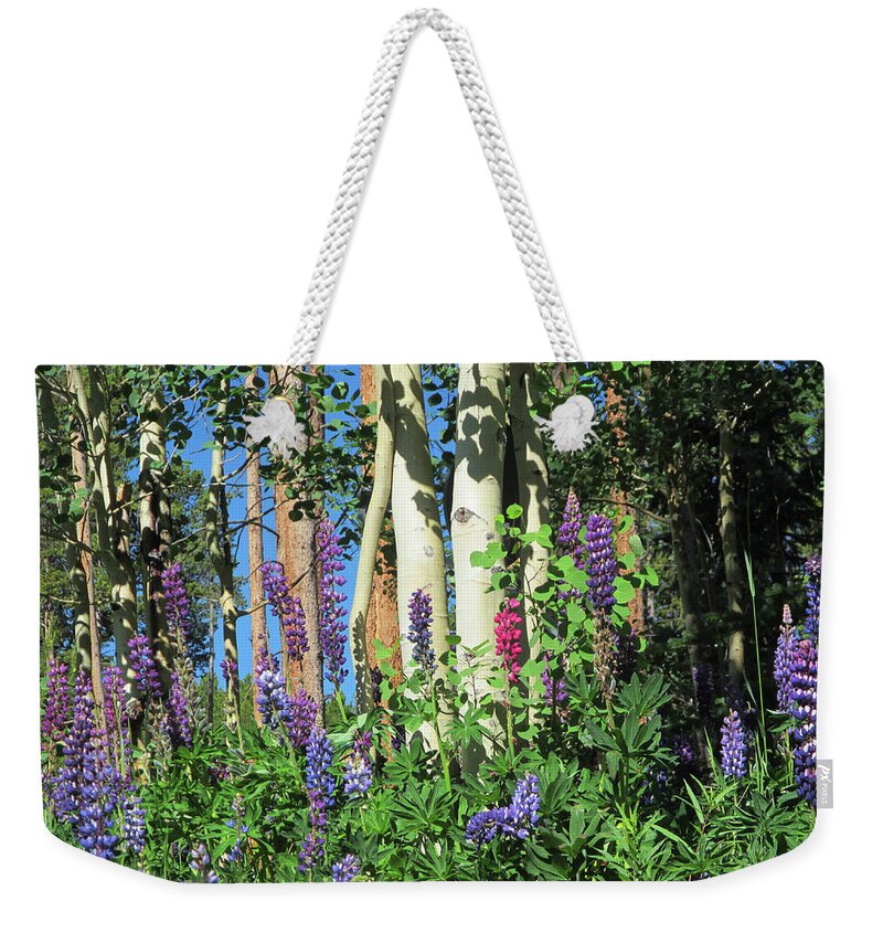 Lupine Weekender Tote Bag featuring the photograph Aspen and Lupine by Marilyn Hunt