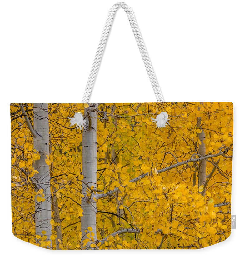 Peaceful Weekender Tote Bag featuring the photograph Aspen Autumn by Gary Migues