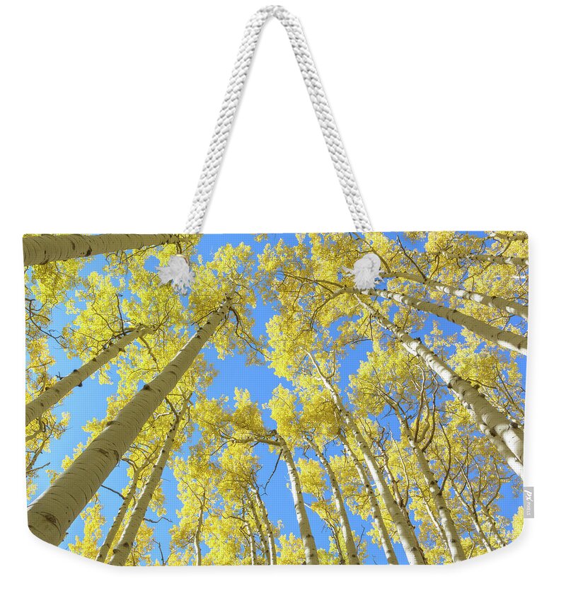 Landscape Weekender Tote Bag featuring the photograph Aspen Canopy by Daniel Dean
