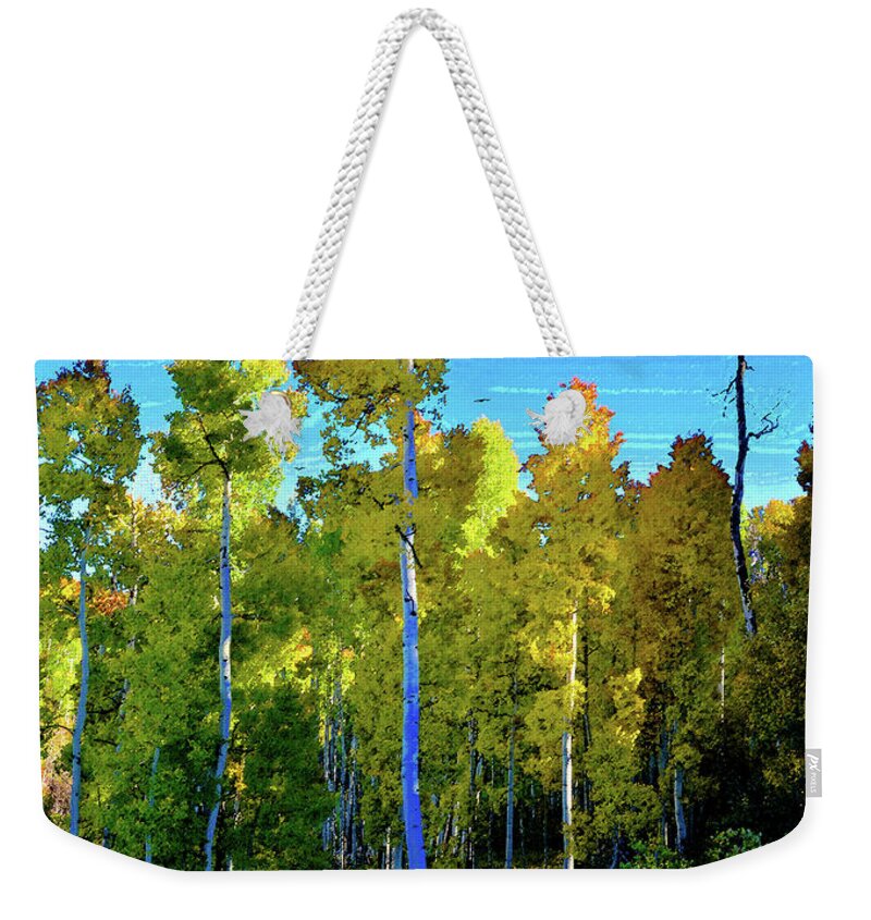 Aspen Trees Weekender Tote Bag featuring the painting Aspen Forest by David Lee Thompson
