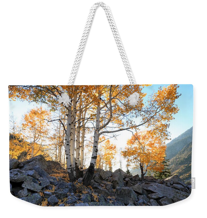 Landscape Weekender Tote Bag featuring the photograph Aspen Glow by Brett Pelletier