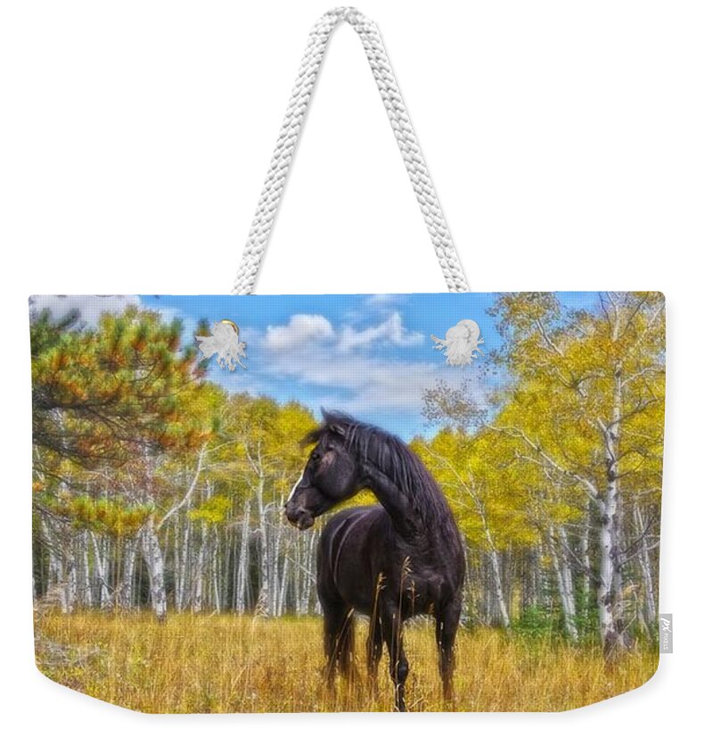 Aspen Weekender Tote Bag featuring the photograph Aspen Gold In Black And White by Amanda Smith