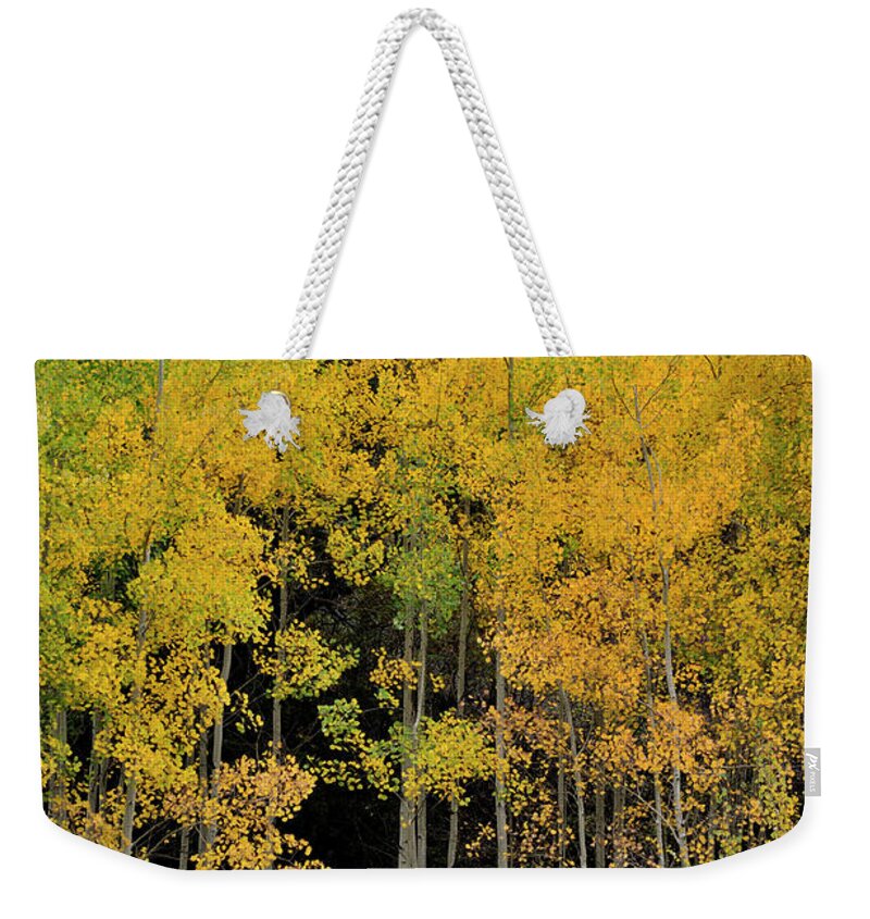 Landscape Weekender Tote Bag featuring the photograph Aspen Haven by Ron Cline