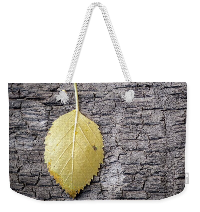 Still Life Weekender Tote Bag featuring the photograph Aspen Leaf on Bark by Mary Lee Dereske