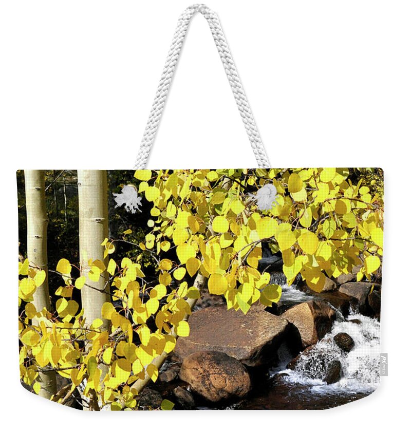 Nature Weekender Tote Bag featuring the photograph Aspen Leaves by Nava Thompson