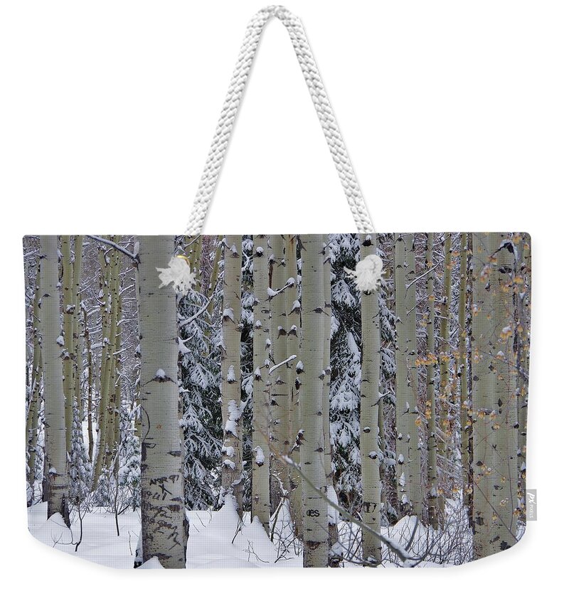 Aspen Trees Weekender Tote Bag featuring the photograph Aspen Snow by Matt Helm