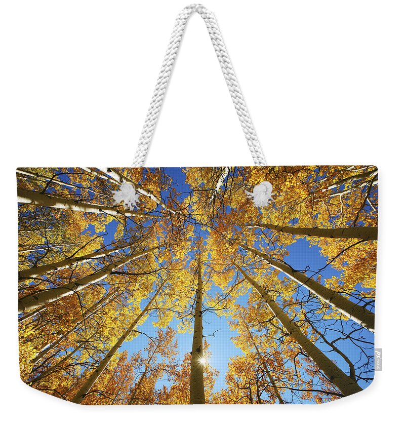 Aspen Weekender Tote Bag featuring the photograph Aspen Tree Canopy 2 by Ron Dahlquist - Printscapes