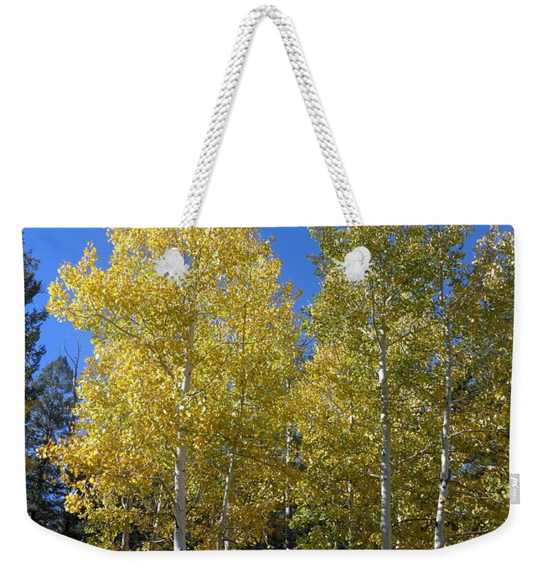 Flagstaff Weekender Tote Bag featuring the photograph Aspen Tree Twins by Mars Besso