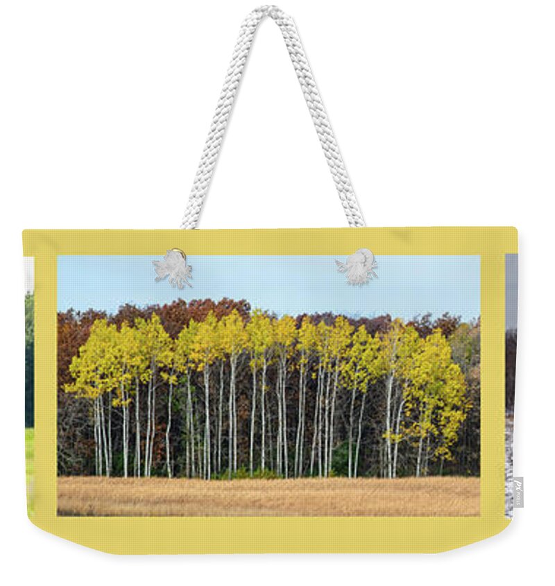 Trees Weekender Tote Bag featuring the photograph Aspen Triptych by Peter Ponzio