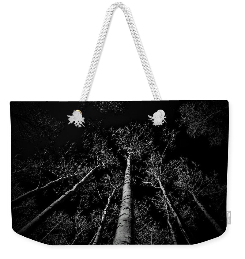 Aspen Trees Weekender Tote Bag featuring the photograph Aspen Winter by Michael Brungardt
