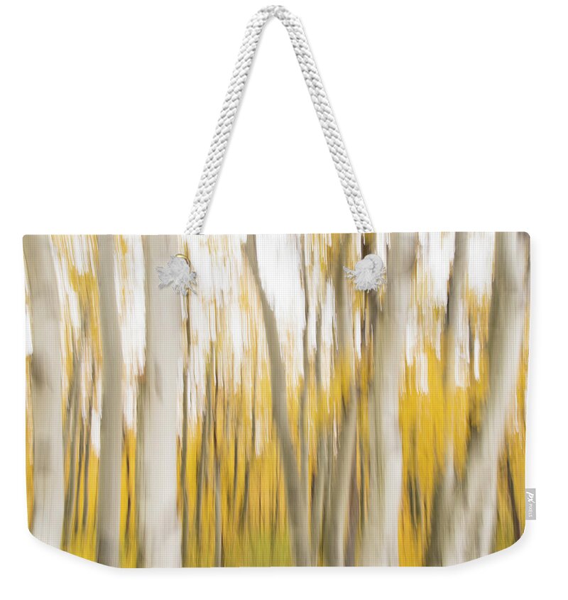 Aspen Weekender Tote Bag featuring the photograph Aspens 2 by Alex Lapidus