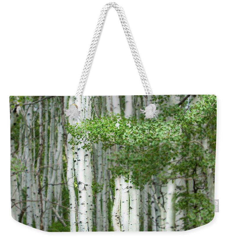 Aspens Weekender Tote Bag featuring the photograph Aspens, Colorado by George Robinson
