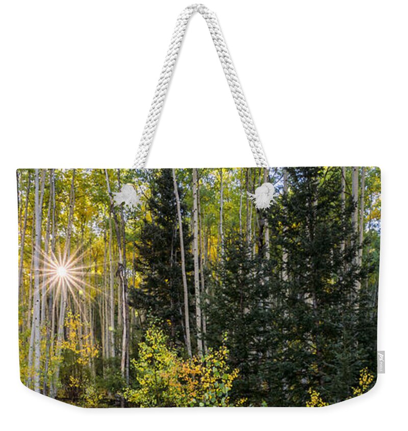 Aspen Weekender Tote Bag featuring the photograph Aspens In Autumn 5 Panorama - Santa Fe National Forest New Mexico by Brian Harig