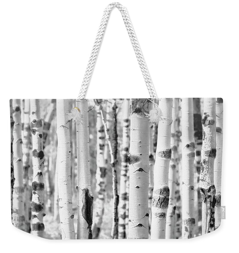 Aspen Trees Weekender Tote Bag featuring the photograph Aspens in Black and White by Saija Lehtonen