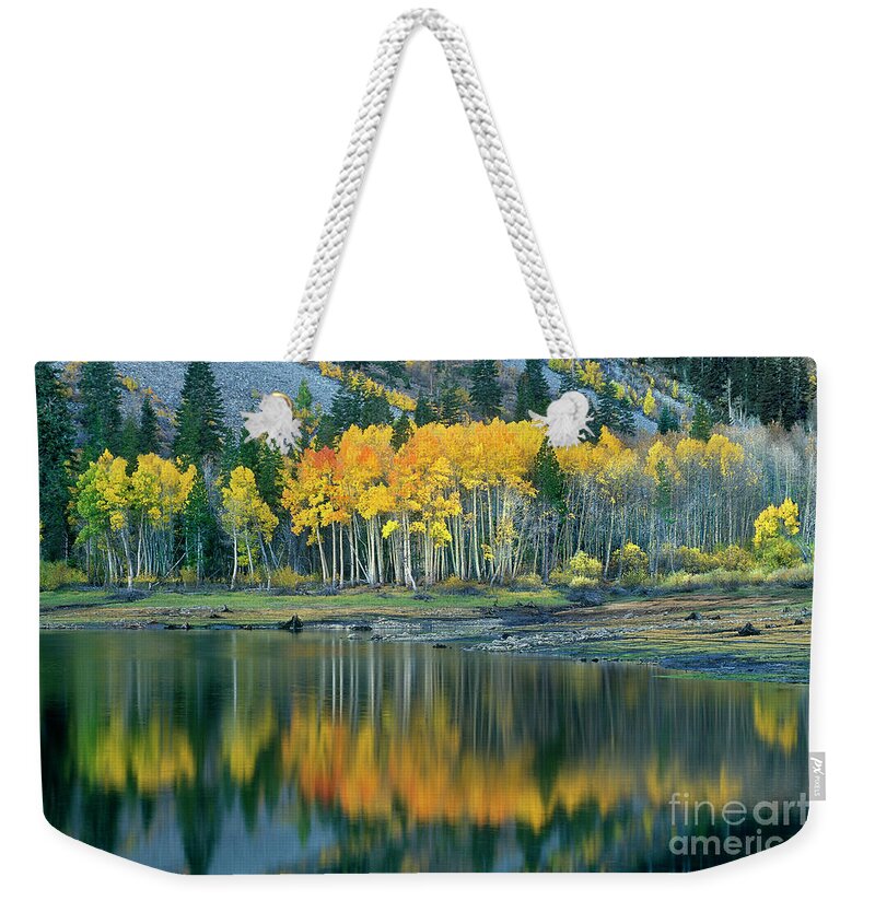 Dave Welling Weekender Tote Bag featuring the photograph Aspens In Fall Color Along Lundy Lake Eastern Sierras California by Dave Welling