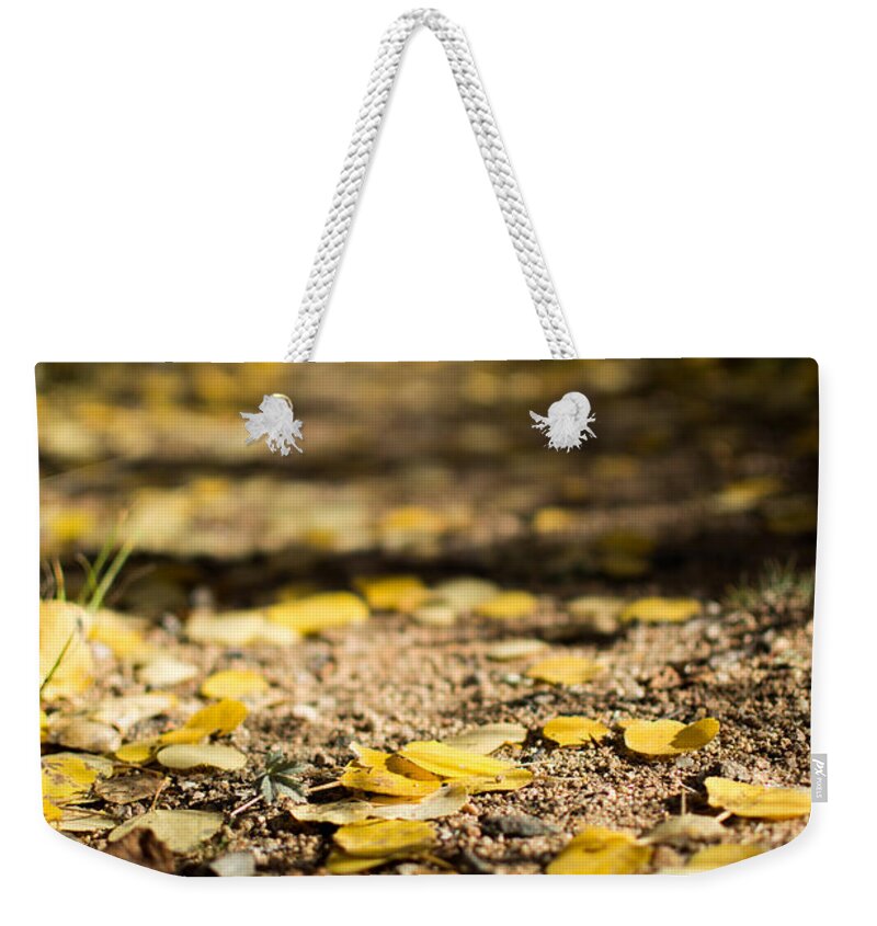 Aspen Weekender Tote Bag featuring the photograph Aspen leaves on trail by Stephen Holst