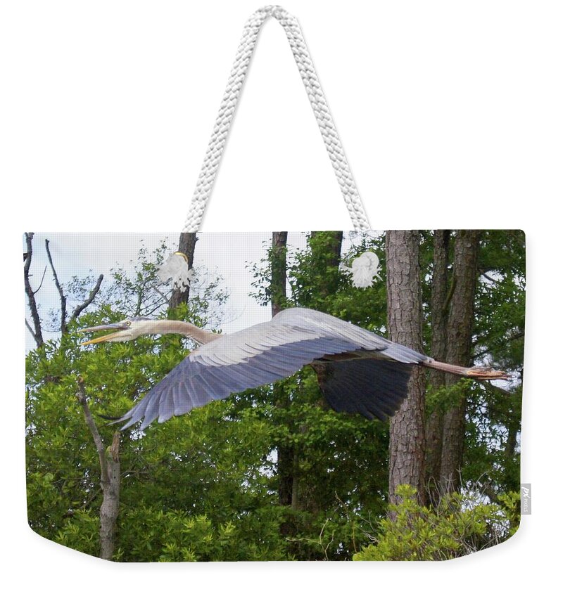 De Weekender Tote Bag featuring the photograph Assawoman Canal, Great Blue #8758 by Raymond Magnani