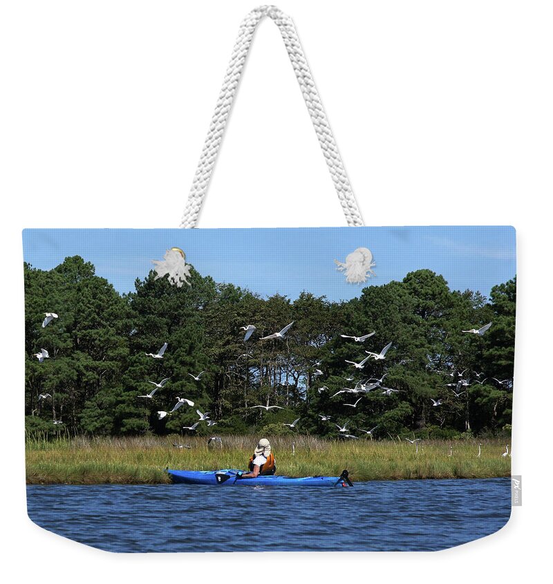De Weekender Tote Bag featuring the photograph Assawoman Wildlife Area #04726 by Raymond Magnani