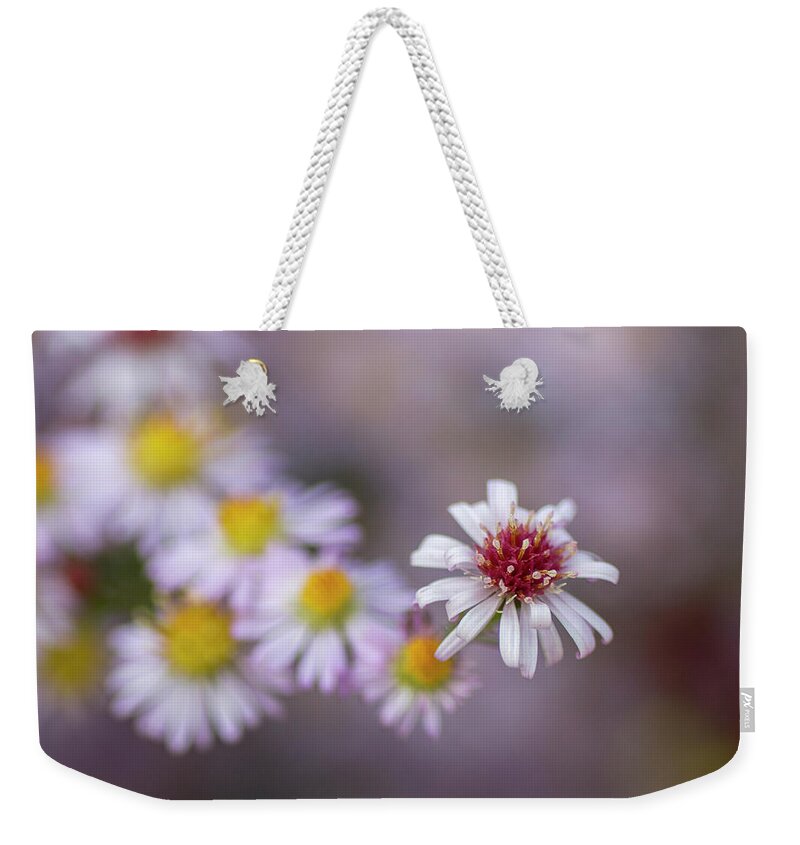 Aster Weekender Tote Bag featuring the photograph Aster by Diane Fifield