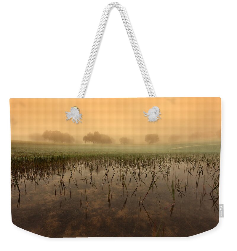 Jorgemaiaphotographer Weekender Tote Bag featuring the photograph At dawn by Jorge Maia