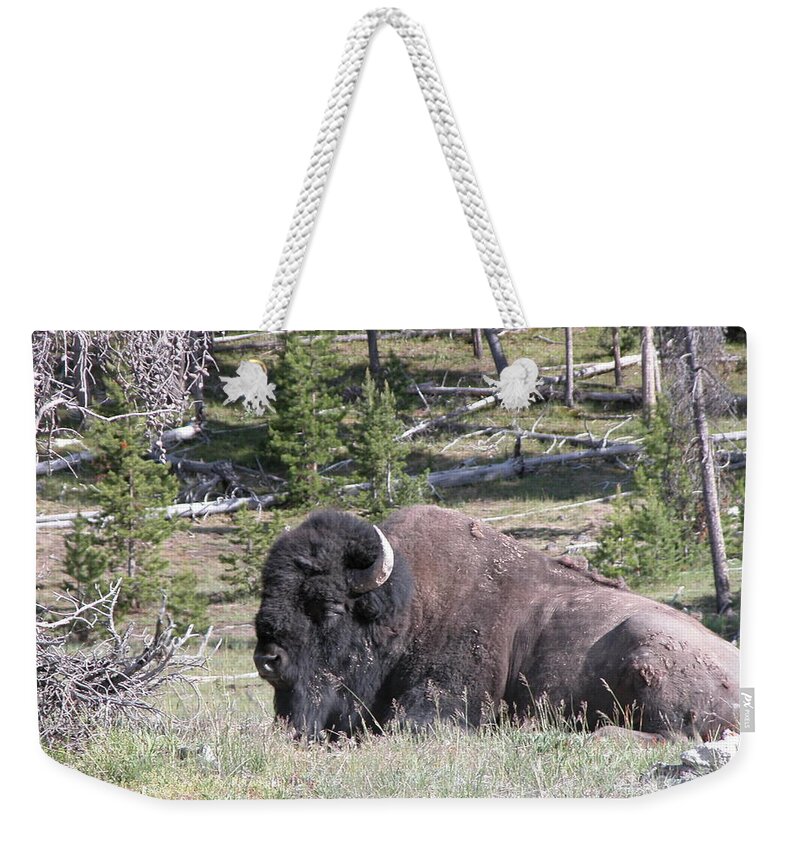 Bison Weekender Tote Bag featuring the photograph At Rest by Jim Goodman
