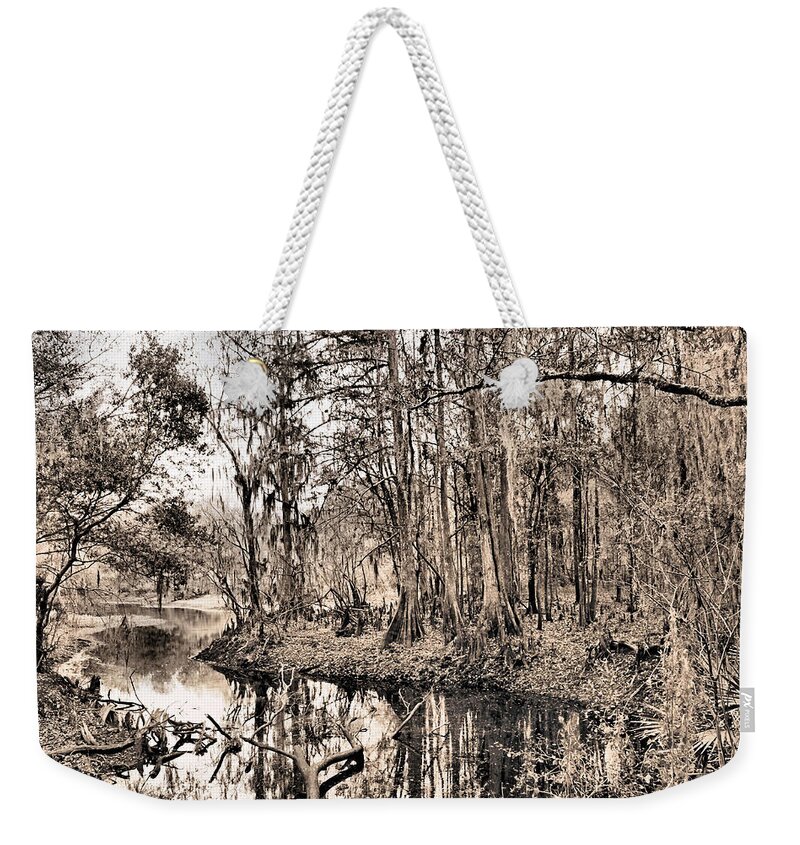 Swamp Weekender Tote Bag featuring the photograph At Swamps Edge by Kristin Elmquist