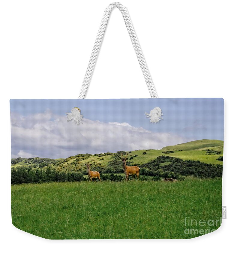 Beecraigs Weekender Tote Bag featuring the photograph At the hill bottom. by Elena Perelman