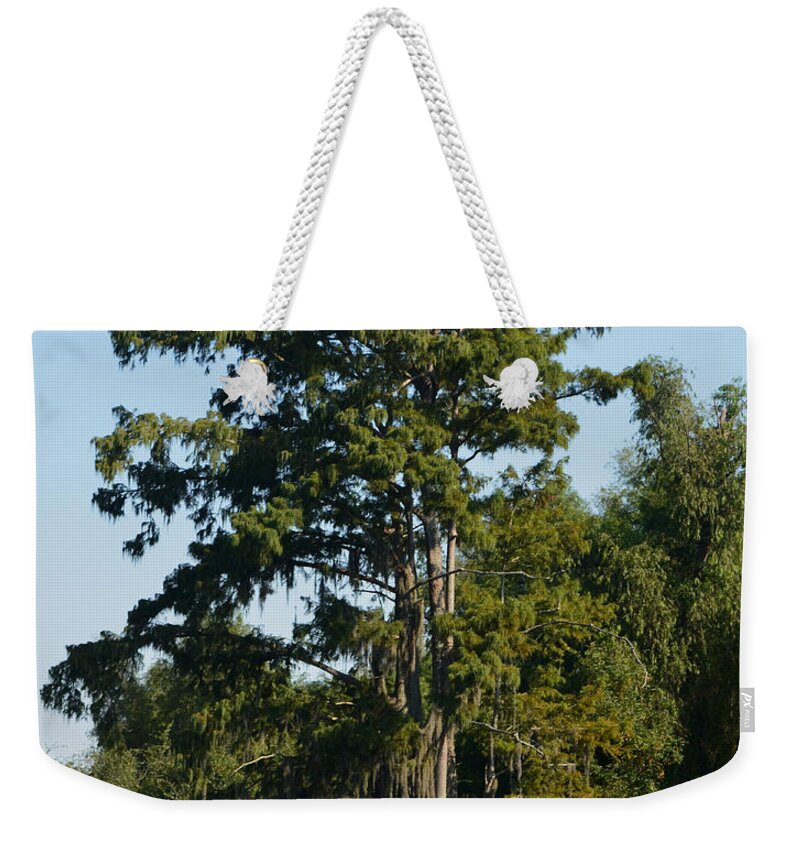 Tree Weekender Tote Bag featuring the photograph Atchafalaya Basin 11 Southern Louisiana by Maggy Marsh