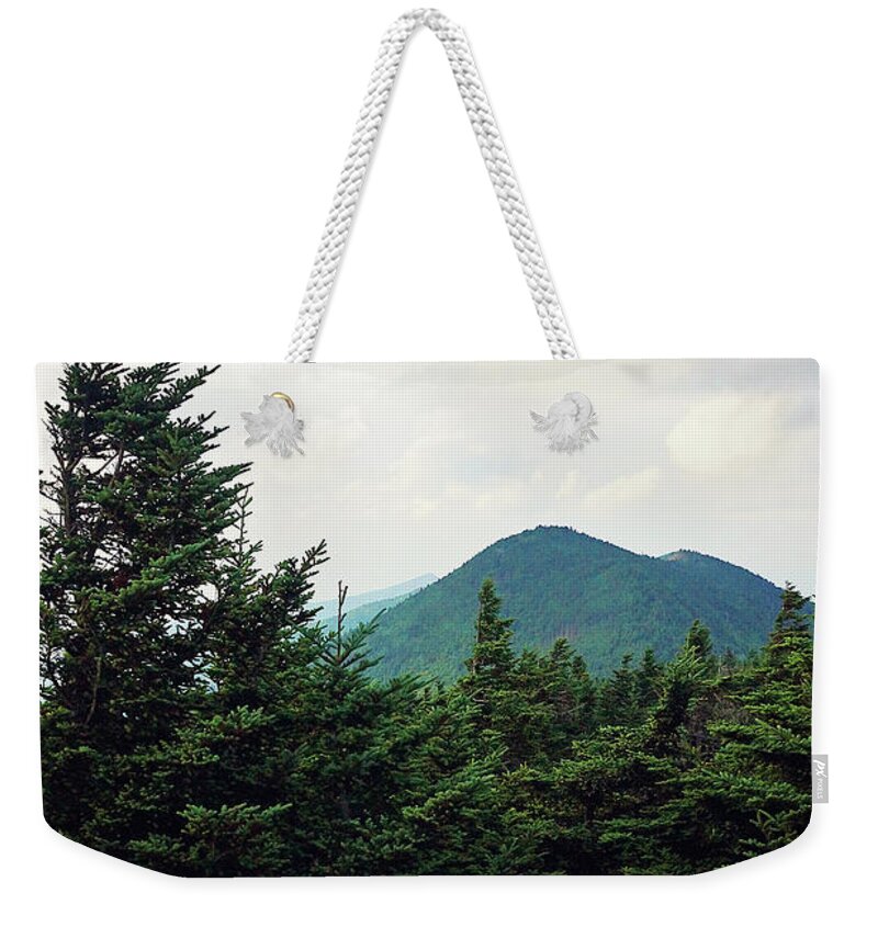 Mountain Weekender Tote Bag featuring the photograph Atop Mt Mitchell 1 by Megan Swormstedt