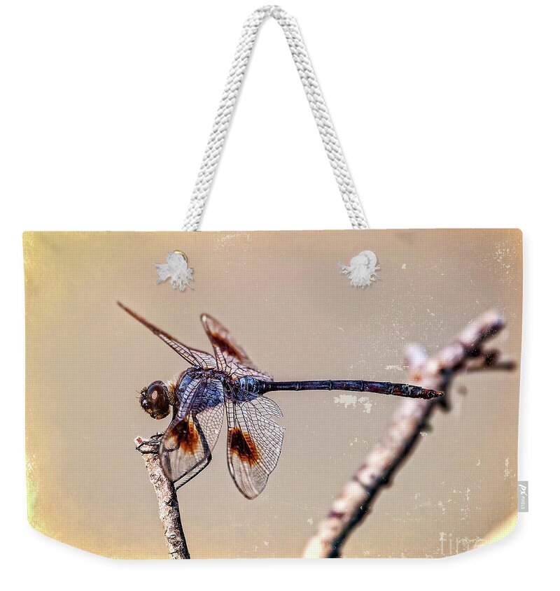 Dragonflies Weekender Tote Bag featuring the digital art Attached by DB Hayes
