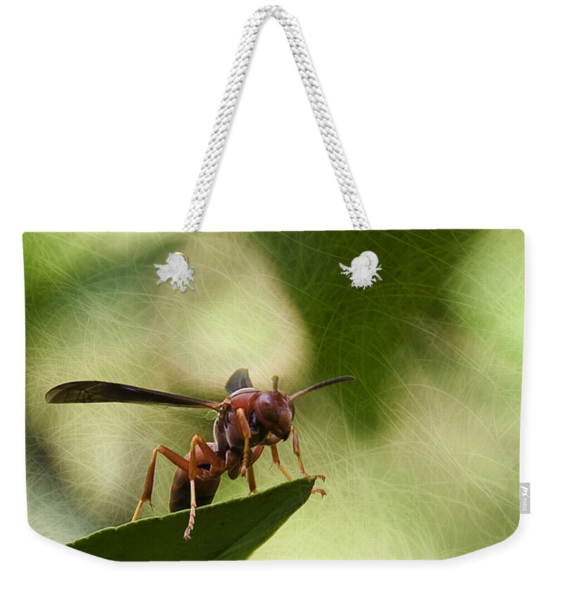 Wasp Weekender Tote Bag featuring the photograph Attack Mode by Steven Richardson