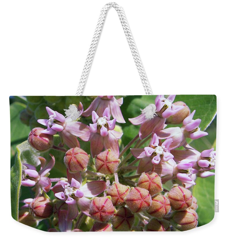Milkweed Weekender Tote Bag featuring the photograph Attraction by Kathi Mirto