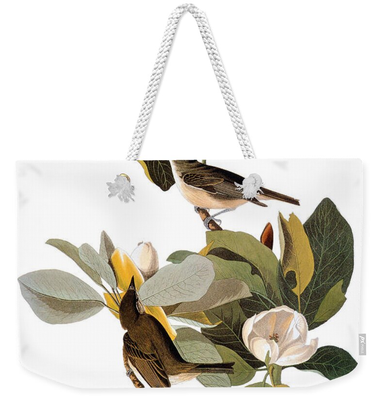 1838 Weekender Tote Bag featuring the photograph Audubon: Vireo by Granger