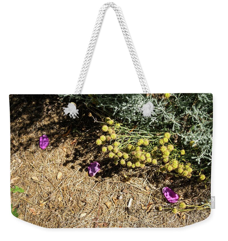 August Ground Cover Weekender Tote Bag featuring the photograph August Ground Cover by Tom Cochran