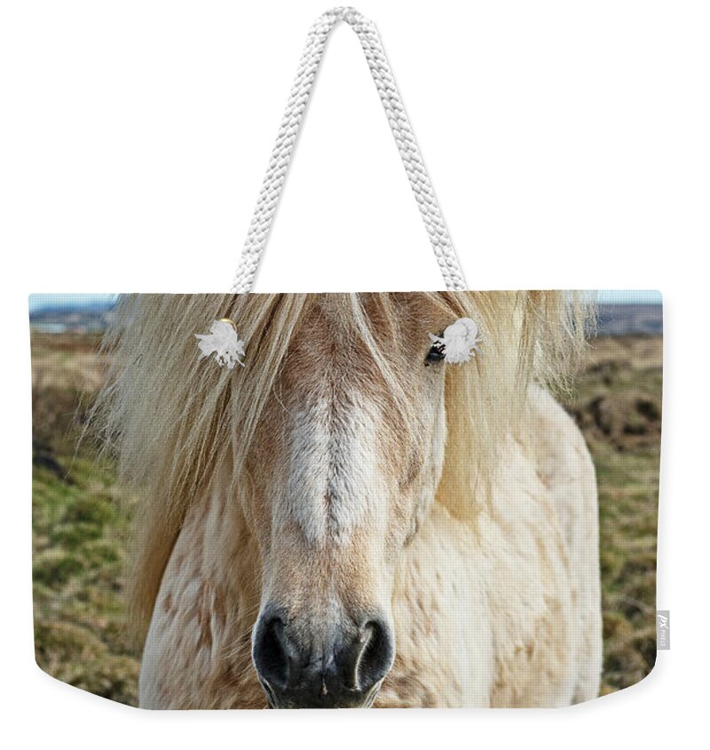 Festblues Weekender Tote Bag featuring the photograph Auricomous by Nina Stavlund
